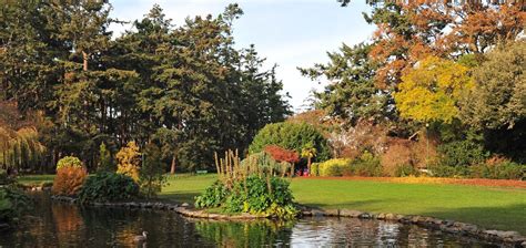 Beacon Hill Park In Bc Is Home To One Of The Rarest Ecosystems