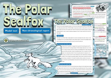 Year 5 Model Text Non Chronological Report The Polar Sealfox