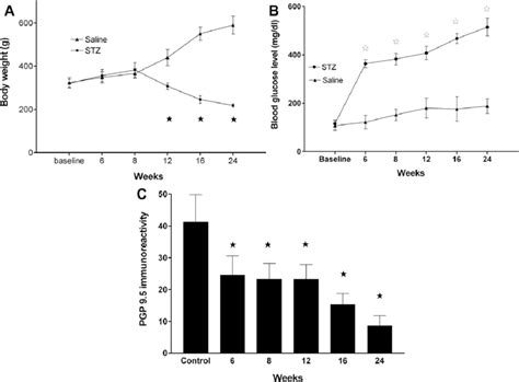 A Body Weight Changes After Streptozotocin Stz Or Saline Treatment