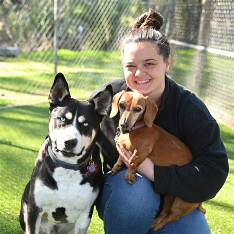 San Diego Pet Boarding | Helen Woodward Animal Center