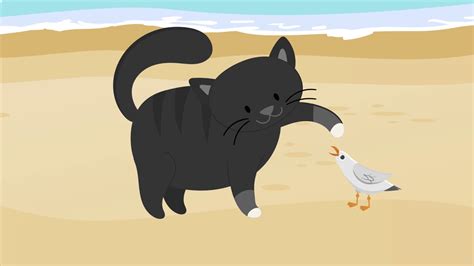 Historia de una gaviota y del gato que le enseñó a volar YouTube