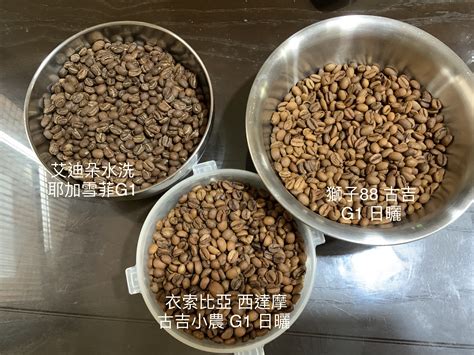 不藏私食譜 手炒咖啡豆太累來用微波爐and家用烤箱烘焙三支咖啡豆 Tn姐姐生活饗宴