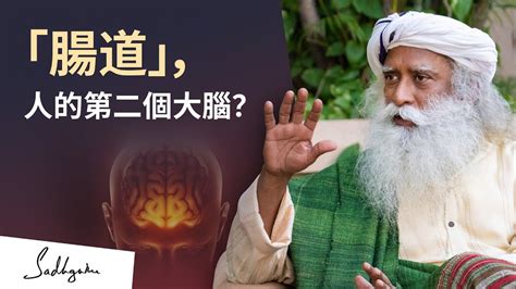 第二個大腦驚人的力量 Sadhguru 薩古魯 Youtube