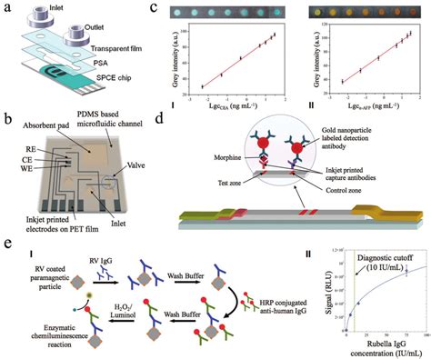 Immunoassays In Printed Microfluidic Systems A Schematic Of A