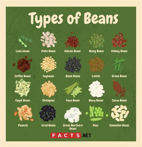 Types Of Beans Chart