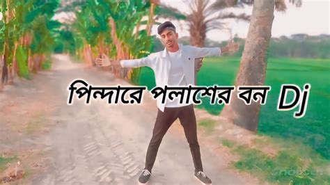 Pindare Polasher Bon Dj Trance Remix পিন্দারে পলাশের বন Dj Tiktok Viral