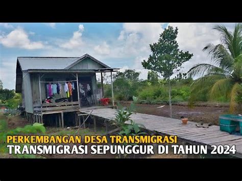 Perkembangankampung Transmigrasi Sepunggur Di Tahun Transmigrasi