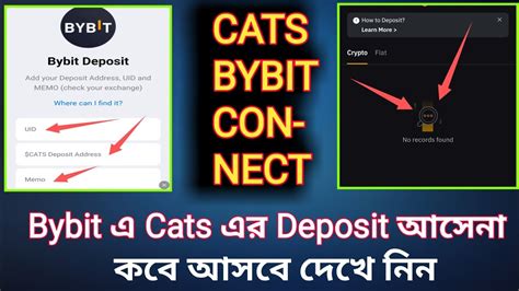 Bybit Cats Address Bybit Exchange Tokens Cats Bybit Connect