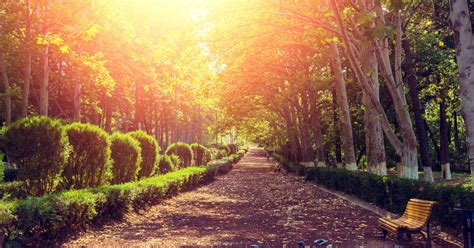 Gardens Of Tbilisi For Tourists Who Love Flora And Fauna Ecotourism In