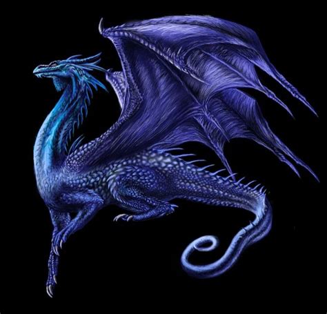 10 best Saphira tattoo concepts images on Pinterest | Fantasy dragon, Blue dragon and Fantasy art