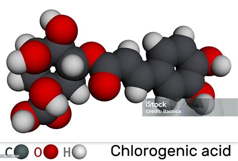 Para Que Serve O Ácido Clorogênico - Molécula De Ácido Clorogénico Estructura Química Del Antioxidante ...