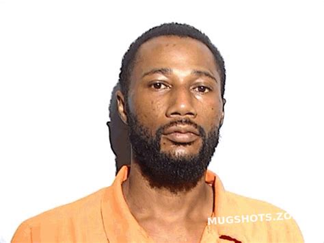 WILLIAMS CHRISTOPHER 08 20 2023 Lucas County Mugshots Zone