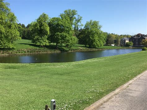 Dave Blant – Hurst Green, 13th May 2023 – Fylde Naturalists' Walking Group