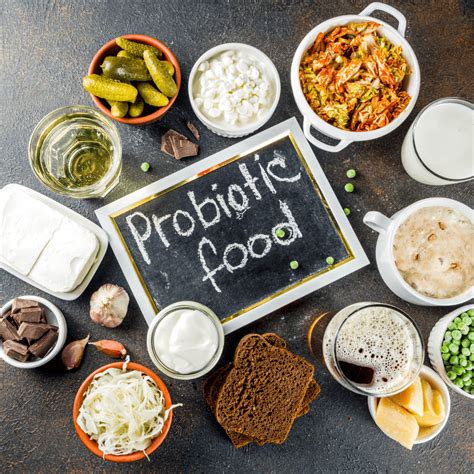 Gut Bacteria and Probiotics - Are probiotics worth the cost? | Showit Blog