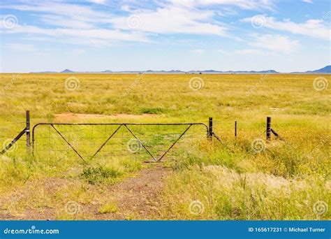 Farm Gate And Fence In Ruralarea Of South Africa Stock Image Image Of Africa Gate 165617231