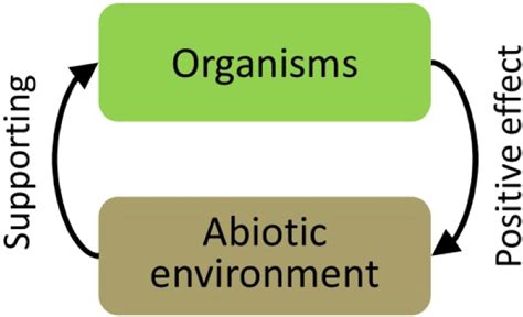 The Diagram Of Organismenvironment Positive Feedback Loop Download