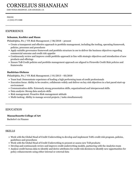 VP Risk Management Resume Samples Velvet Jobs