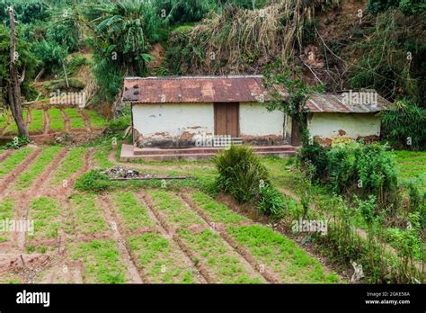 Rural House Near Pattipola Village Sri Lanka Stock Photo Alamy