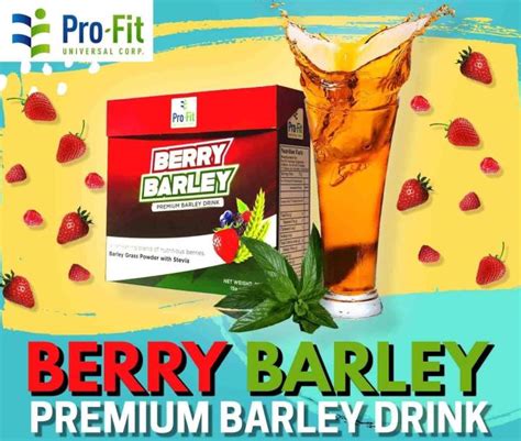 Lowest Price 1box Profit Berry Barley Original Premium Barley Drink