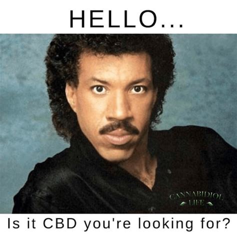 Laugh Your Way To Wellness Best Cbd Memes For A Dose Of Humor