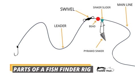 Fish Finder Rig 101: Tying, Casting & More - Fished That