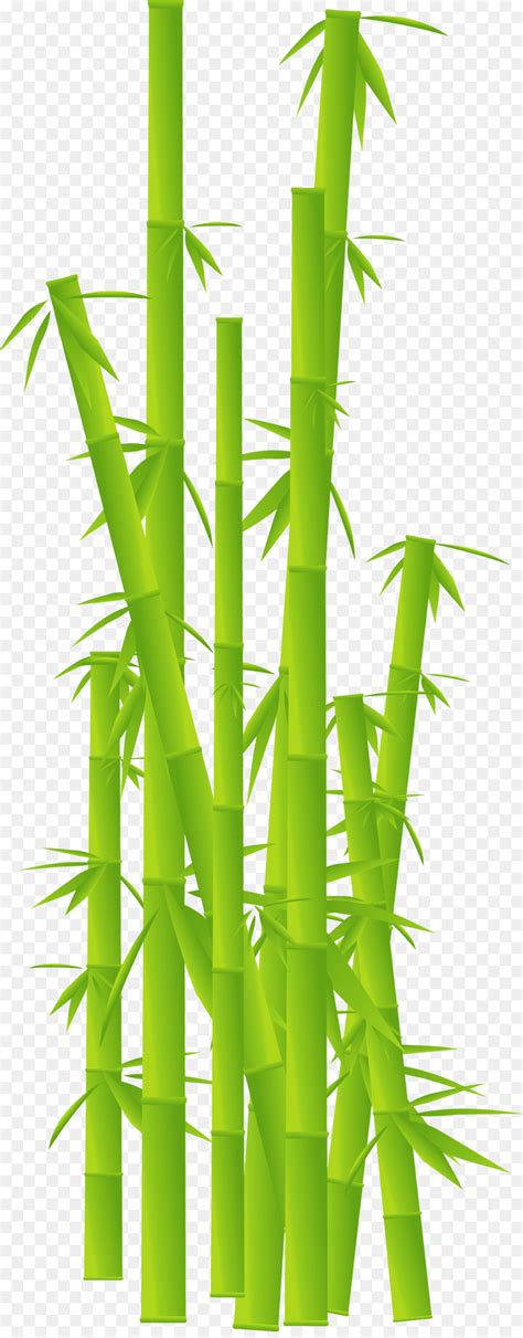 Tropical Woody Bambus Planta De Haste Folha Png Transparente Gr Tis