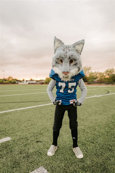 Our Family's Football Halloween Costume - Merrick's Art