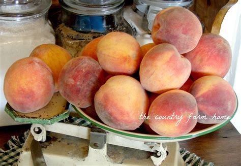 John Came Home Sunday With A Bag Full Of Beautiful Free Peaches We