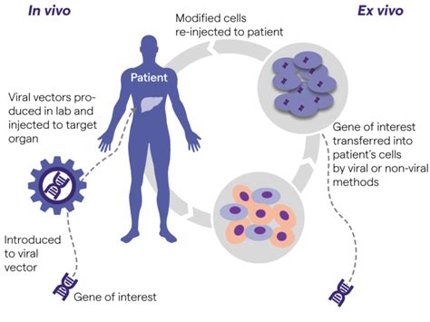 Cell And Gene Therapy Lonza