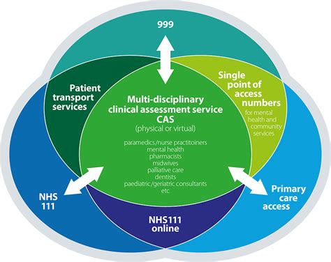 Rapid Response The Role Of The Ambulance Sector In Transforming