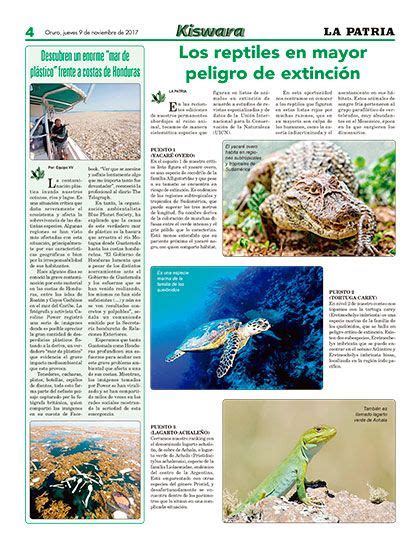 Los reptiles en mayor peligro de extinción Periódico La Patria Oruro