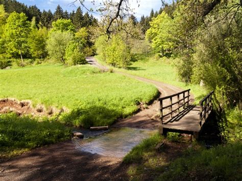 Wandelen In Duitsland X Mooie Duitse Wandelgebieden