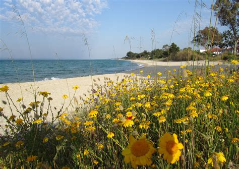 hanioti   distance photo  pigadaki  halkidiki greececom