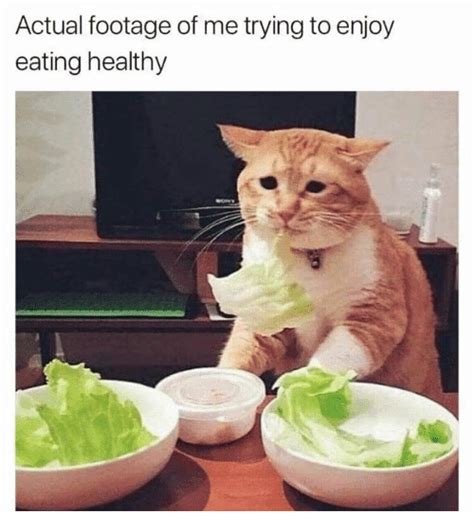 20 Funny Life Changing Eating Healthy Memes - SayingImages.com