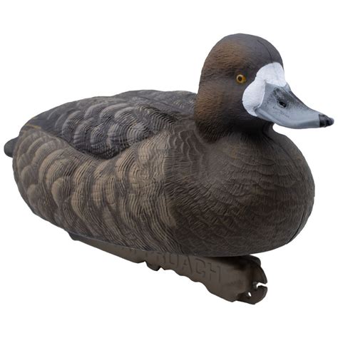 Live Floating Bluebill Duck Decoys, 6 Pack | Final Approach Waterfowl