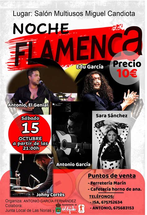 Cultura El Ejido Noche Flamenca