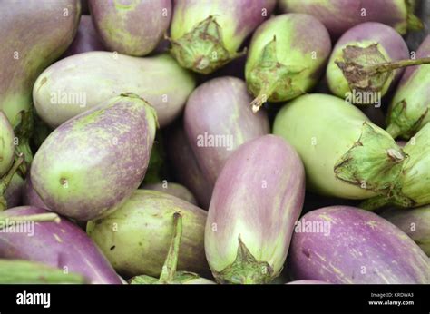 Raw Ripe Eggplant Stock Photo Alamy