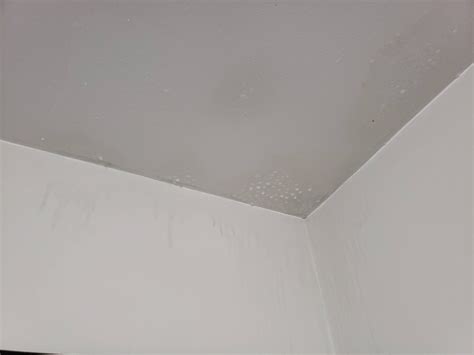 I have condensation gathering in the corner of my bedroom ceiling. What