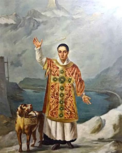 S O Bernardo Porque O Cachorro Tem Nome Desse Santo Cat Lico