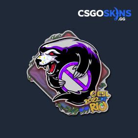 Sticker Outsiders Glitter Rio 2022 CSGOSKINS GG