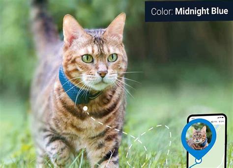 Tractive Presenta Nuevo Gps Para Gatos Nieve Azul