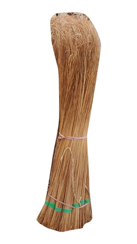 Floor Cleaning Coconut Broom At Rs 30 Piece Jind ID 23883149630