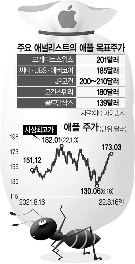 전고점 5 남았다···애플 최고가 뚫나 서학개미 리포트 네이트 뉴스