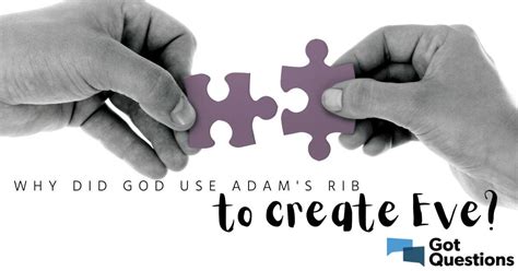 Why Did God Use Adams Rib To Create Eve Gotquestions Org