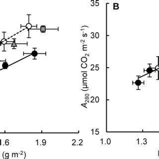 Relationships Between Leaf N Content LNC And A CO2 Assimilation