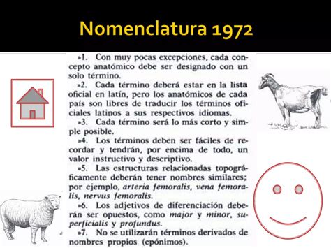 T Rminos Topogr Ficos De Estructuras Anat Micos Veterinaria Ppt