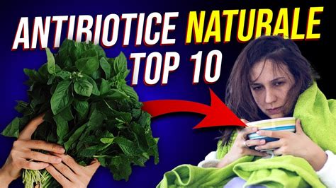 Top Cele Mai Puternice Antibiotice Naturale Youtube