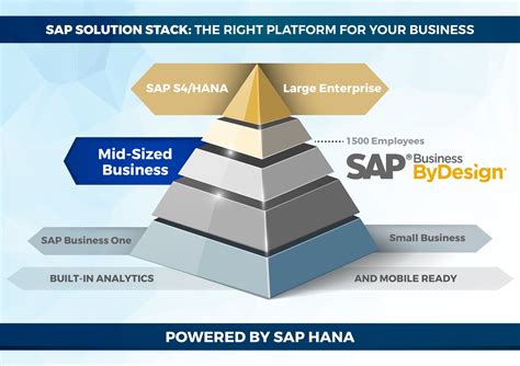 What Is Sap In The Erp World