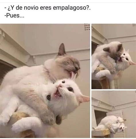 Y De Novio Eres Empalagoso Pues Memes