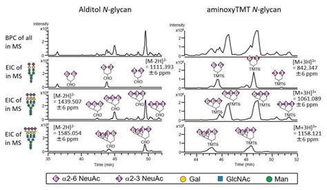 Figure 2 Liquid Chromatography Mass Spectrometry LC MS Profiling